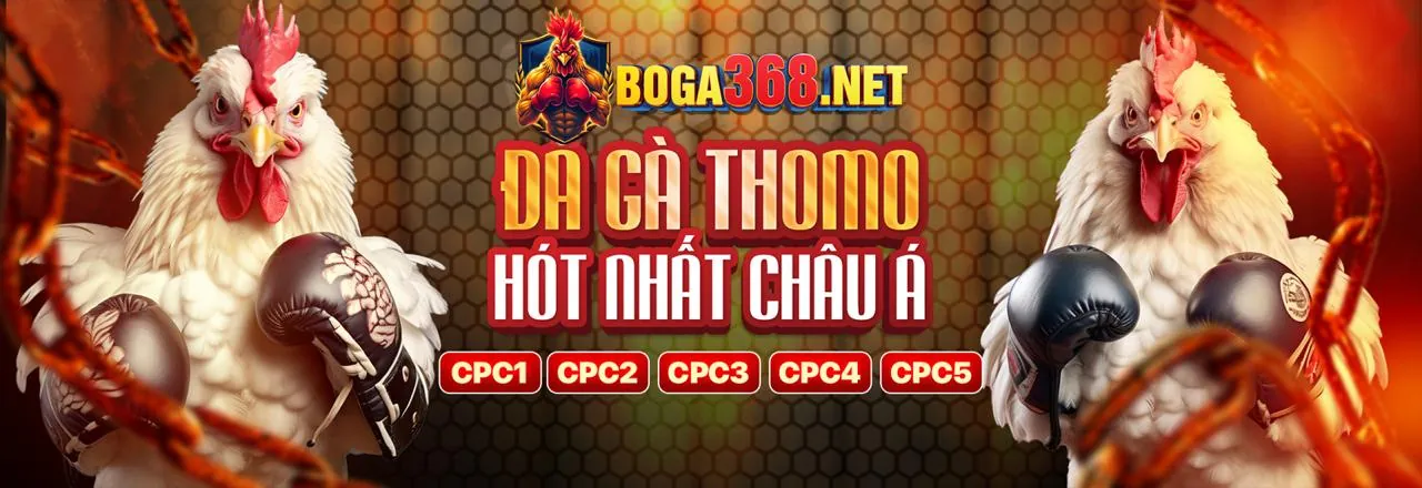 Trực tiếp đá gà HD tại 18win tặng 88k
